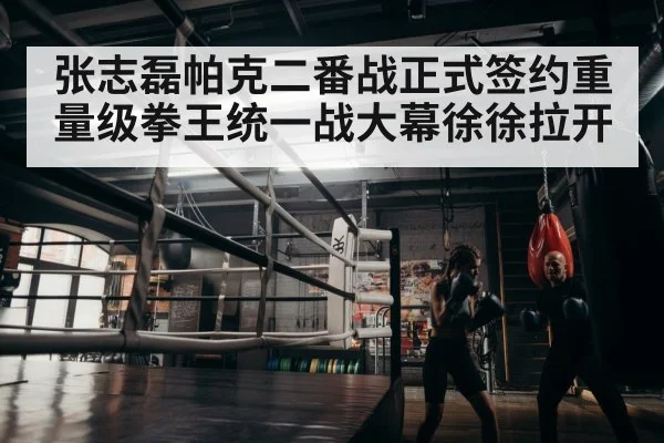boxer training