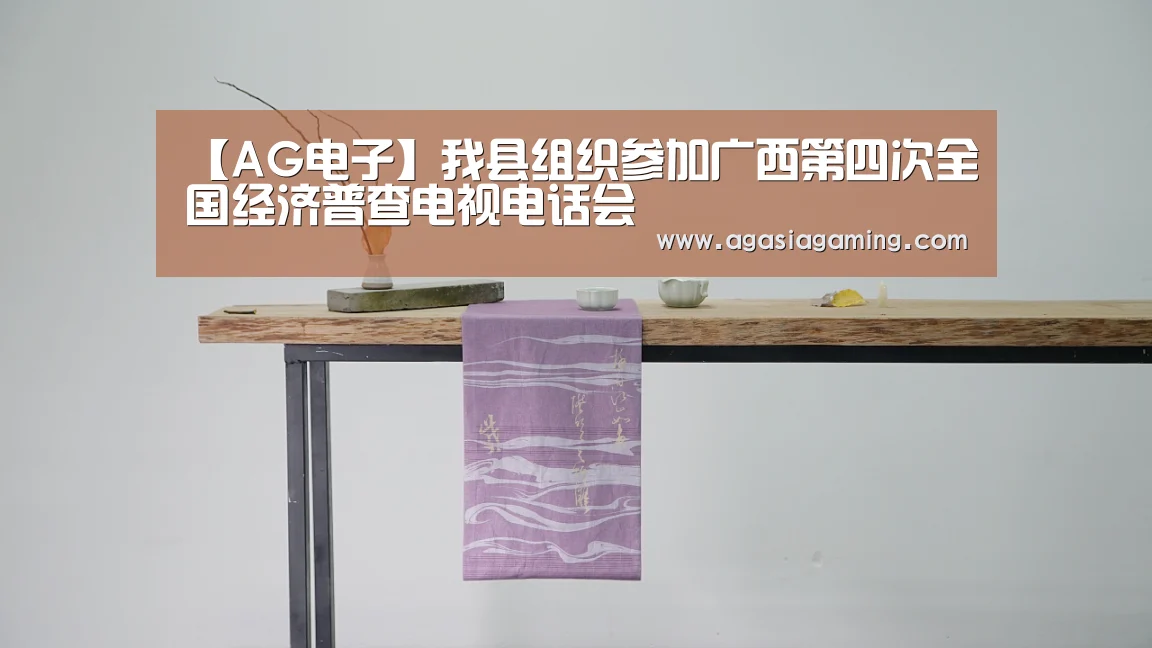 【AG电子】我县组织参加广西第四次全国经济普查电视电话会(图1)