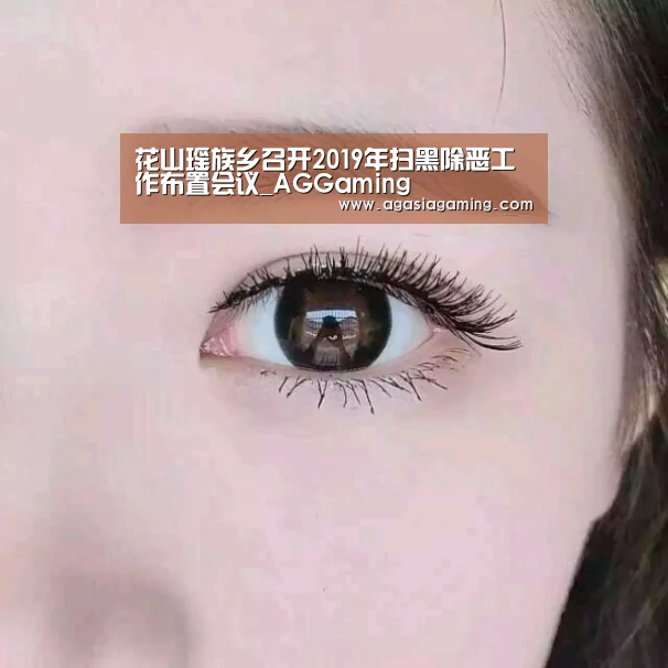 花山瑶族乡召开2019年扫黑除恶工作布置会议_AGGaming(图2)